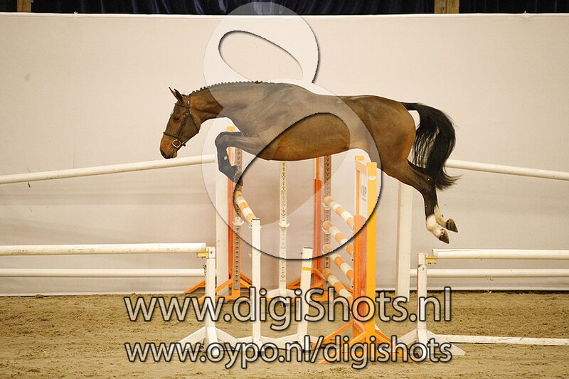 Rockstar V v. Flamenco Desemilly