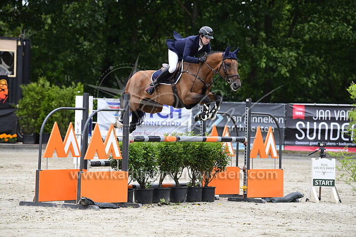 Shane M. Dwan - Narado R.S.