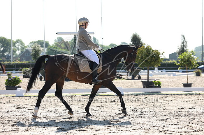 Nicky Brunklaus - Weverta