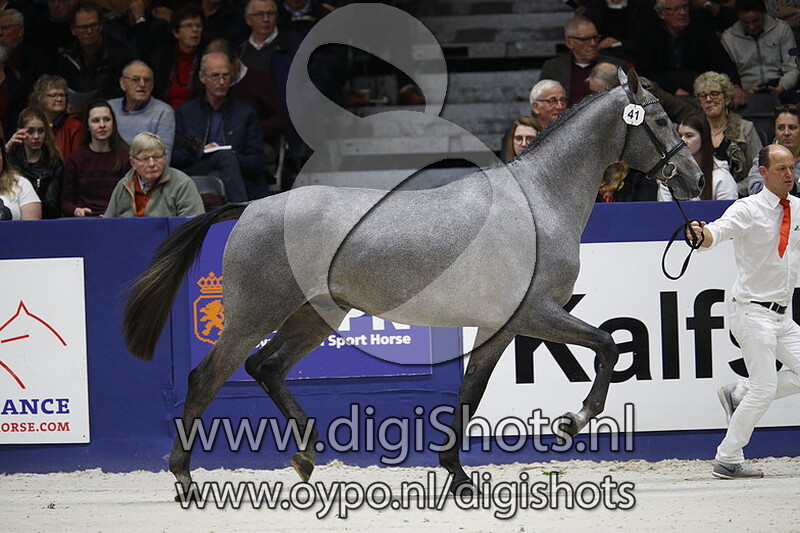 Louay Fortuna v. Cohinoor VDL