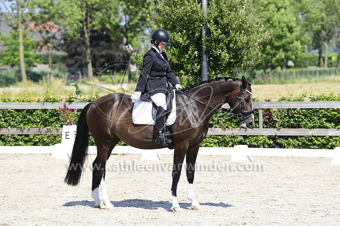 Justa van Hoof - H'Indy