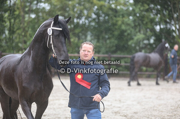 83. L'Amour D van de Sprong