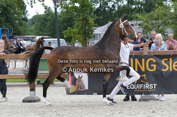 050 - RETIENA ICELLIE X MOROCCO FIELD MARSHALL H.J. VEENSTRA, BOIJL/ W. CLEVERING, MAKKINGA