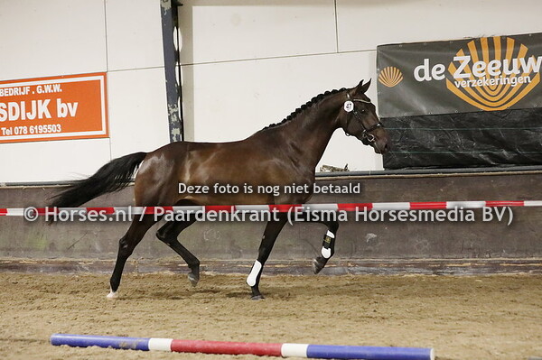 47 Oklanoma (johnson x Kentucky v. desperado)