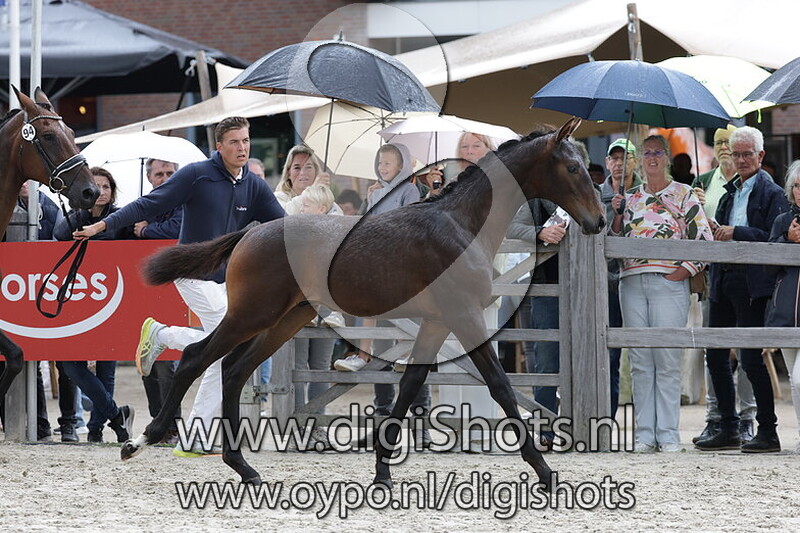 Veni Vidi Vici v. One Million