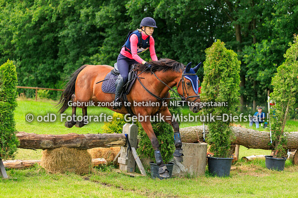 SGW Markelo Snorrewind Paard B Pony L 30-06-24