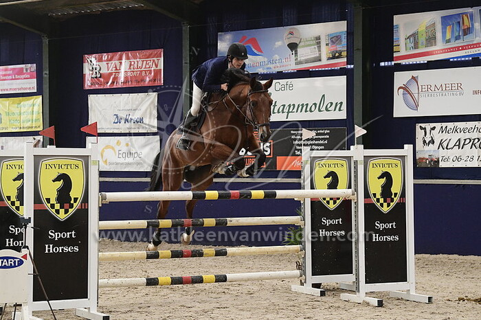 Maxime Thefenne - Texas Z