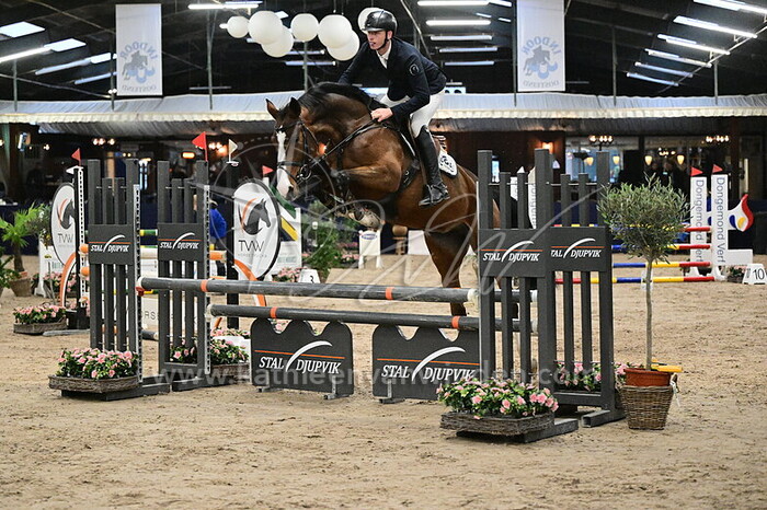 Roy Hanlon - Champion d'Amour