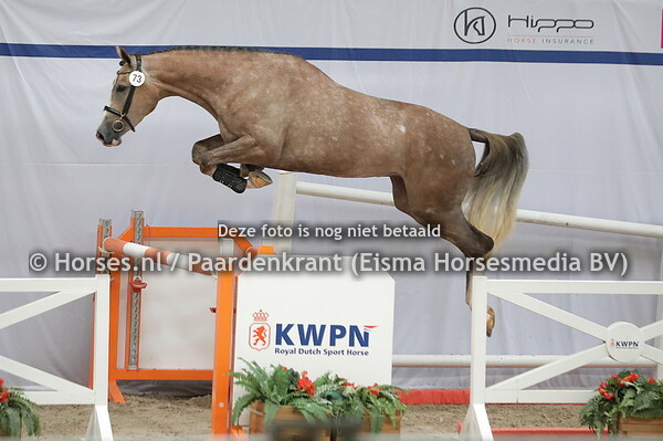 73 Oblesse (Zirocco Blue x Touplesse v. Corland) (1)