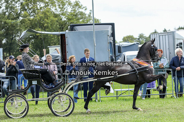 TP Dames 4 Wielig KAMPIOENSCHAP