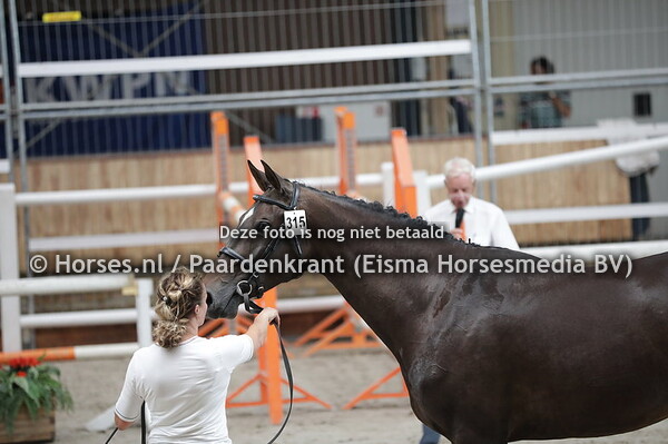 315 Loriona K (Quasimodo Z x Vonne Joline v. Pacific)