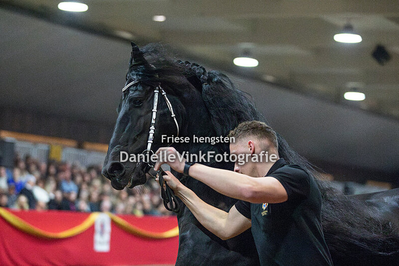 Hengstenshow Lunteren 22-02-2025 Auwert 514