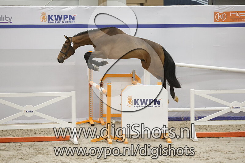 Refresh-s v. Defender Vds Z - 047