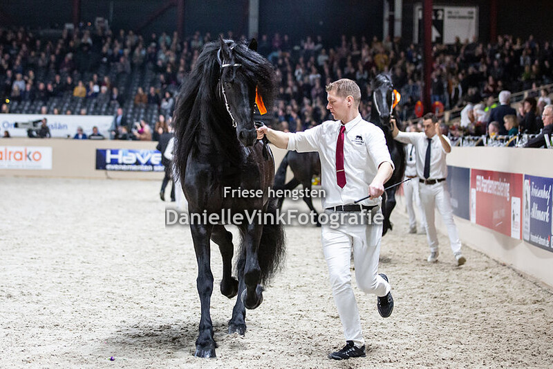 Hengstenkeuring 2020 Omer 493