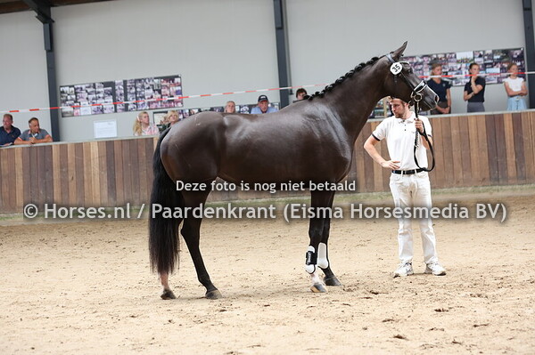 35 Special Hurona (Next Level x Hurona v..Jazz)