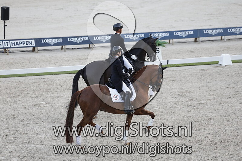 Hexagons Luxuriouzz NOPT