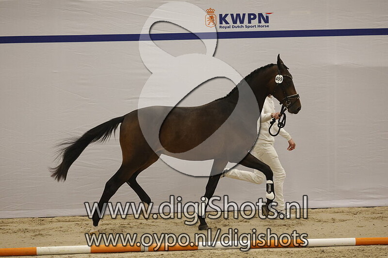 Sundance's Whisper v. So Perfect