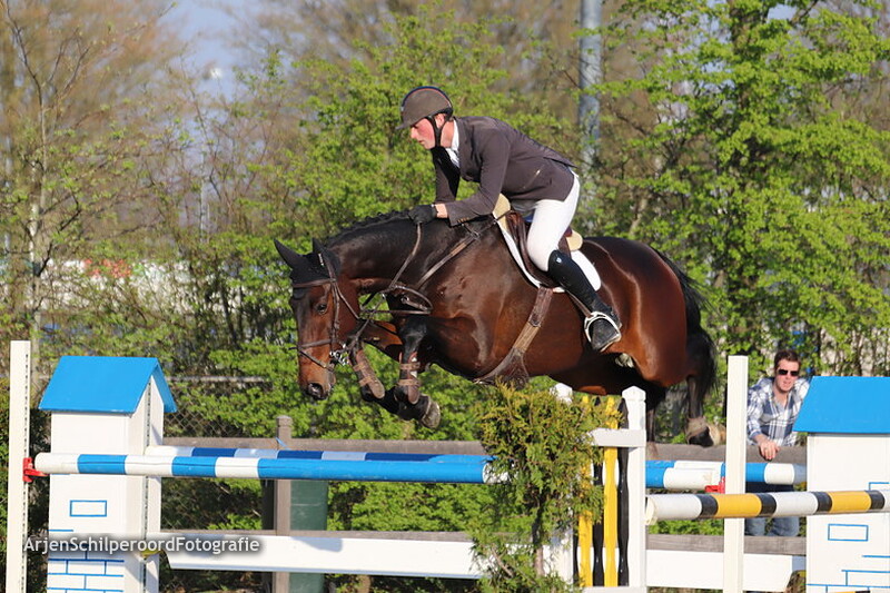 Hippisch Nieuwleusen Z