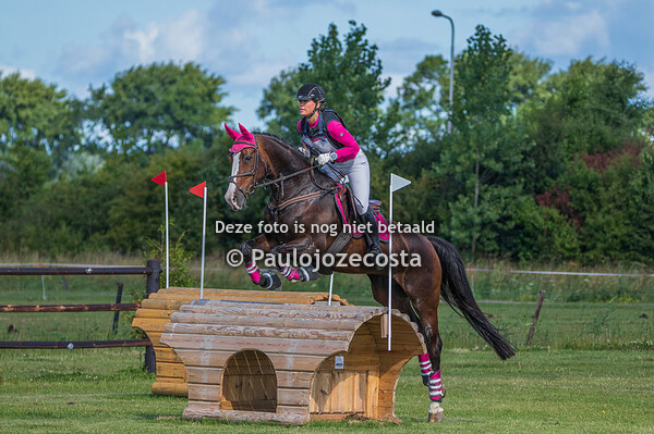 Year 2022 - Eventing, Showjumping & Dressage pictures 