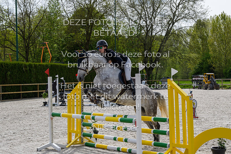 5 Paarden Klasse 80-90cm