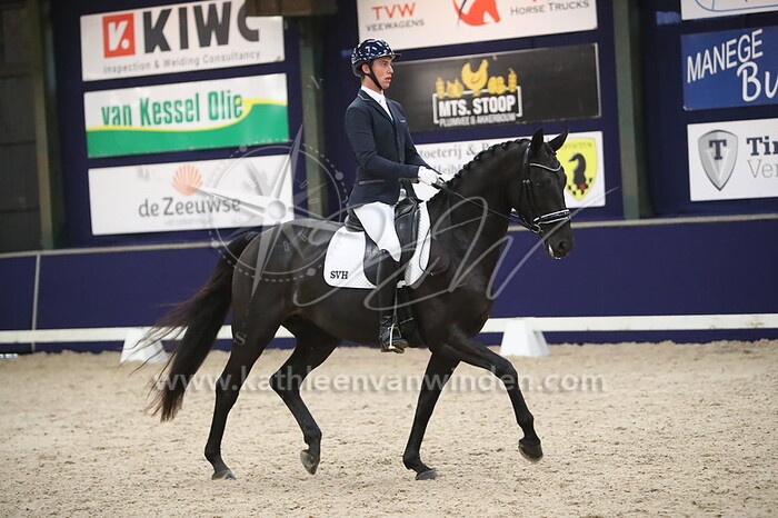 Gianni Gevers - La Duchesse SVH