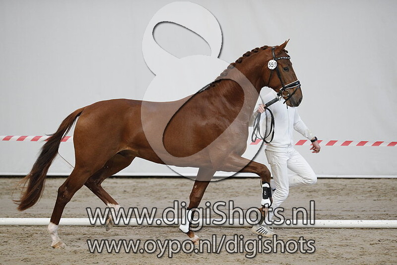 Mi Amore Taonga v. Vivaldi