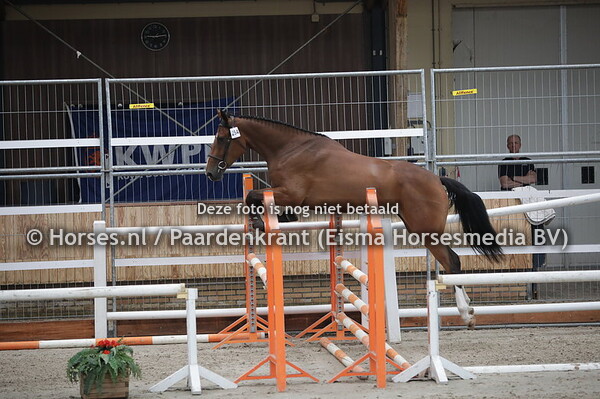 284 Mulan (Malibu TN x Always v. Vancouver)