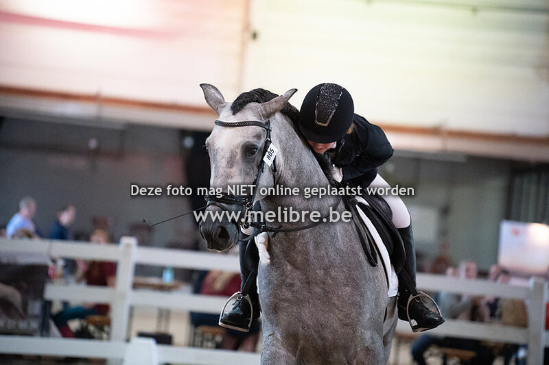 Seccion 8 - Functionalidad