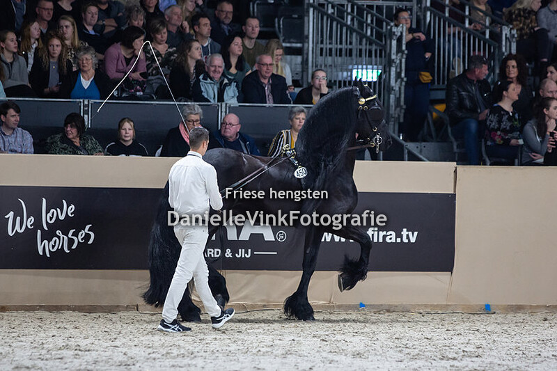 Hengstenkeuring 2020 Sipke 450