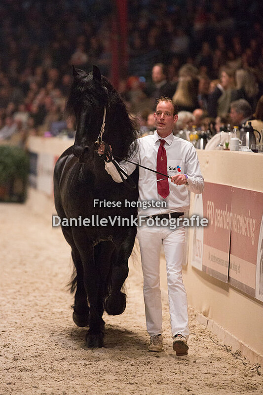 Hengstenkeuring 2018 Rommert 498