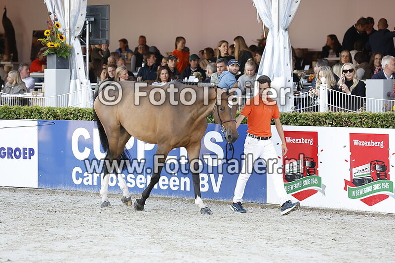 schuttert sport sales