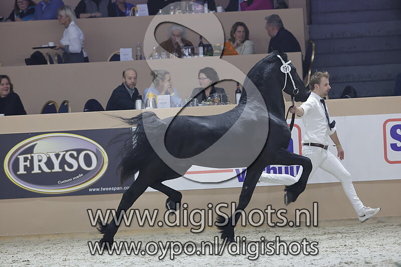 Nozem vd Bokkefarm v. Yme 507 191