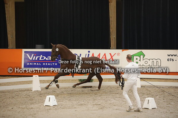 483 Hometown x Scandic (1)