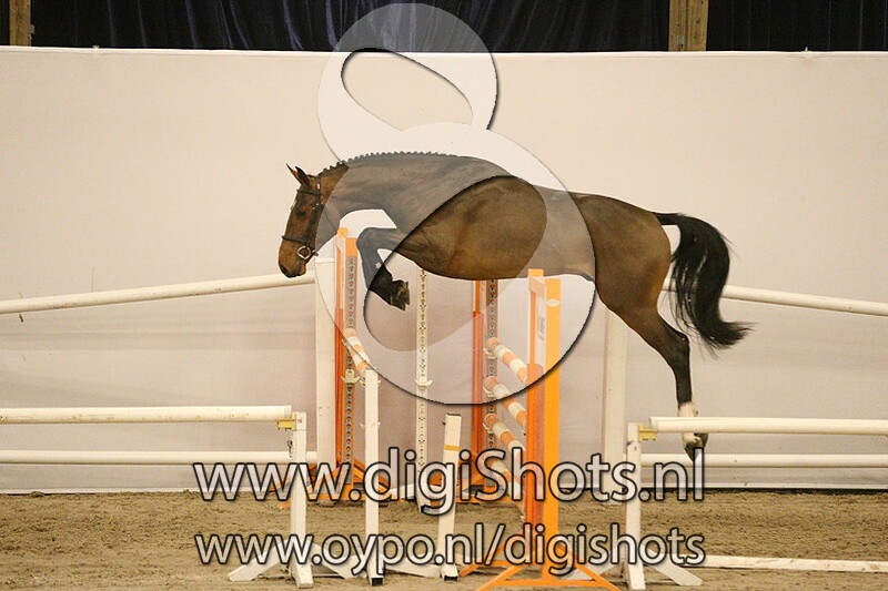 Rockstar V v. Flamenco Desemilly