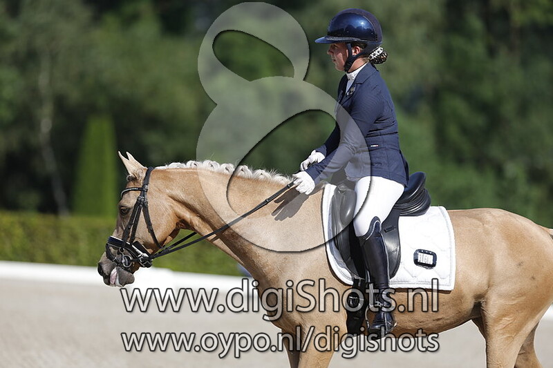 Ring 6 Z1 cat DE finale