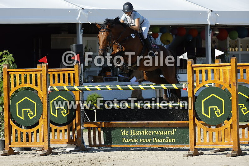 sophie van der werff