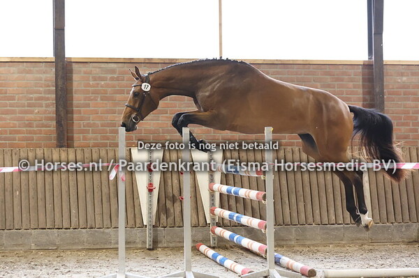 17 Shakira (Mans x catoki Girl v. Catoki)