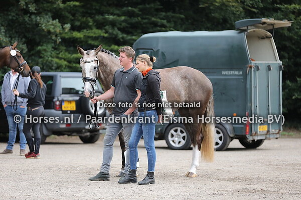 70 Lady Daula v Negro