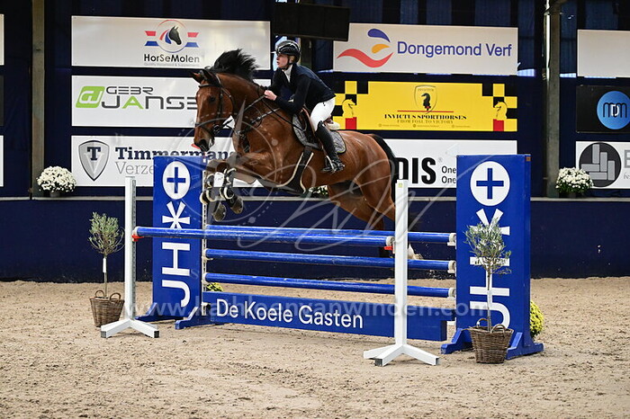 Katherine Brewer - Beatles Waldstar Z