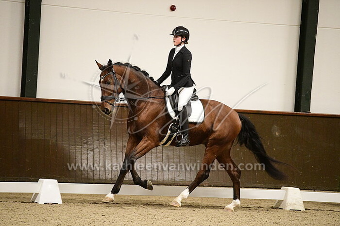 Heike van Olphen - Maravedi