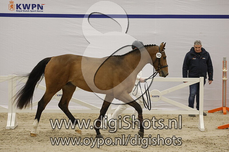 Santiago DDH v. Lord Sandro