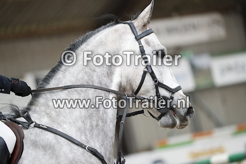 Lisanne van de Pasch