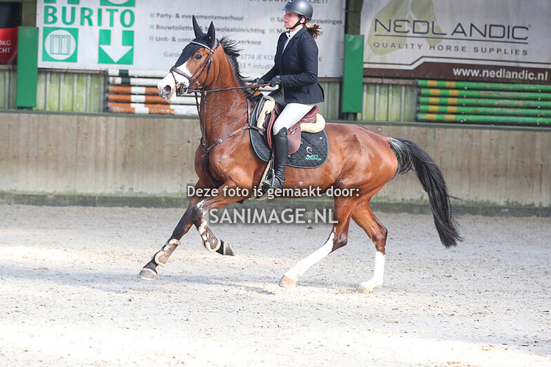 Stal Groenendaal Springen Paarden 04-03-2025 100 cm