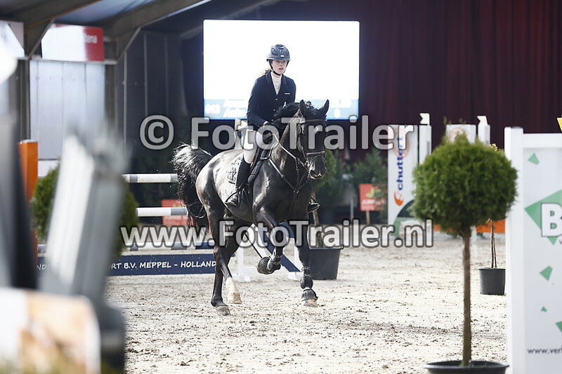 anke marije de vries