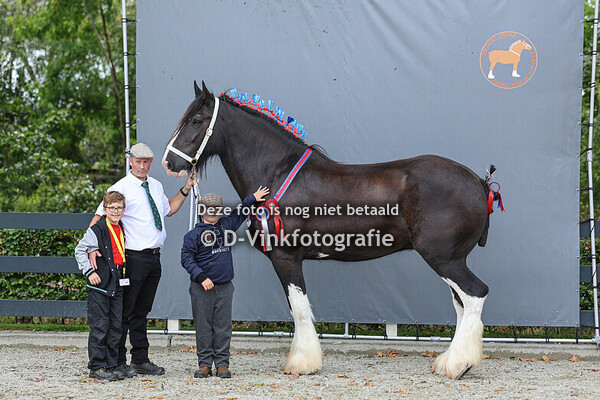 6. Ruinen 4 jaar e.o.