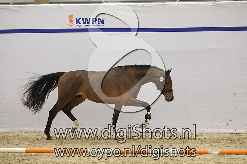 Think Twice Sollenburg