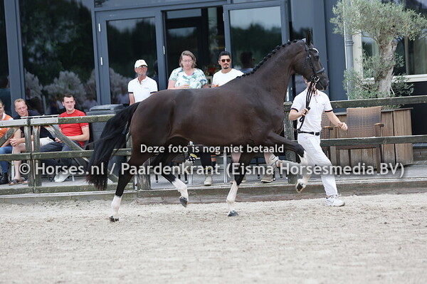 38 Sexy Legs (Next Level x C'est Bon v.Florencio)