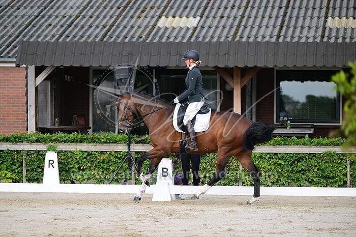 Tamara Jongmans - Nadi