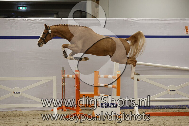 Eyecather Z v. Emerald van 't Ruytershof