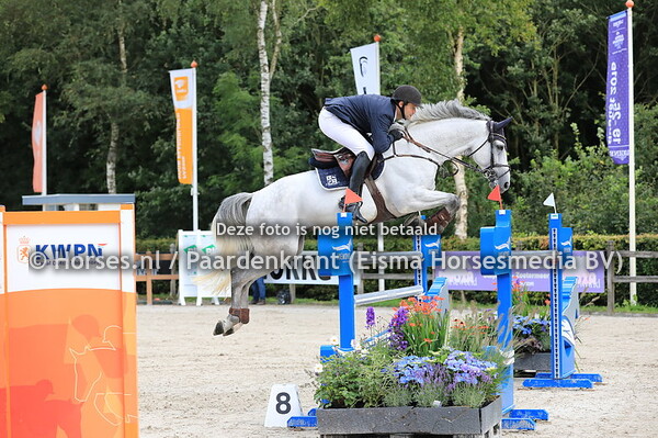 366 Highlander v Numero Uno